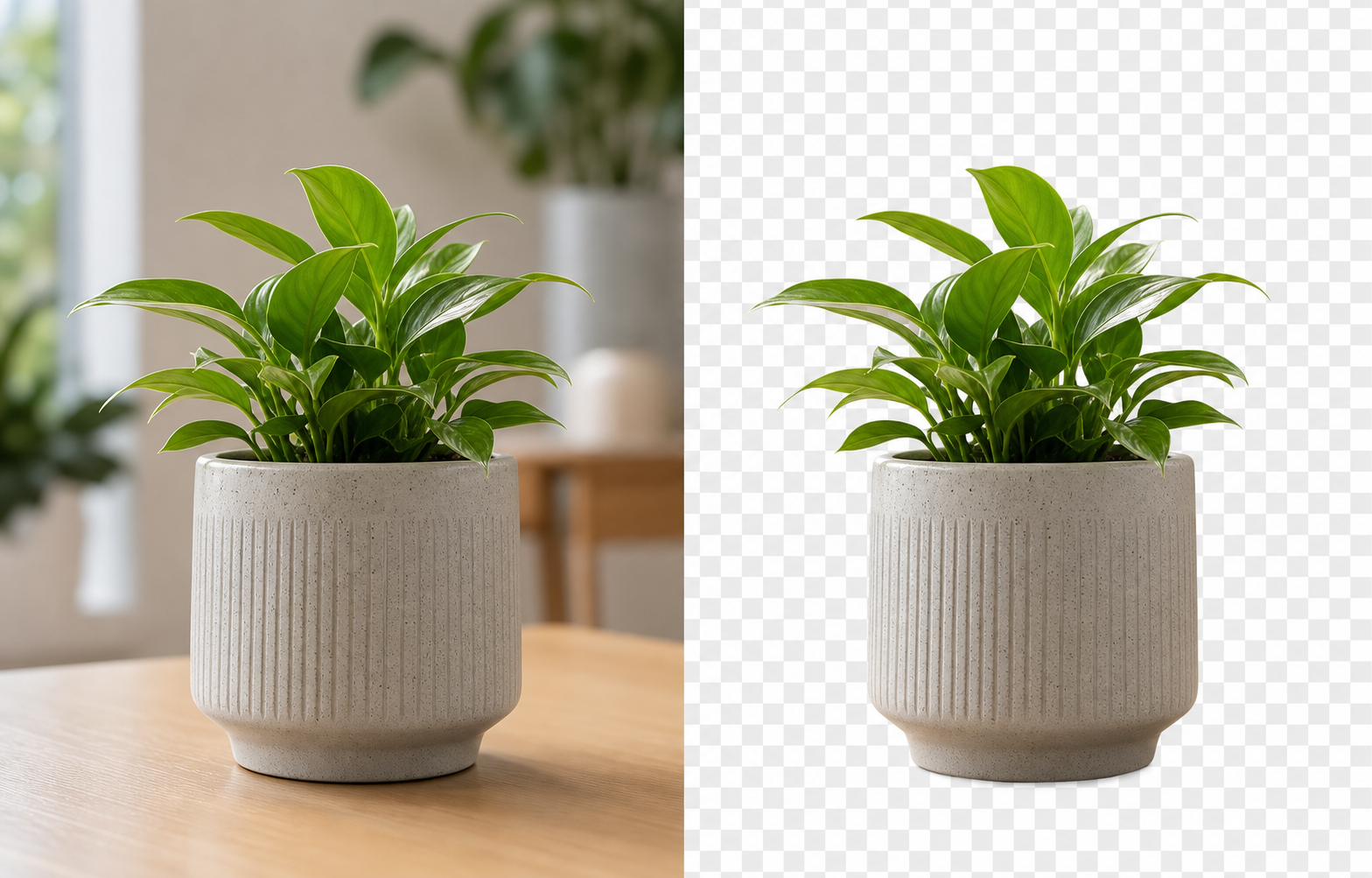 Example object photo and transparent cutout result from EasyCut AI